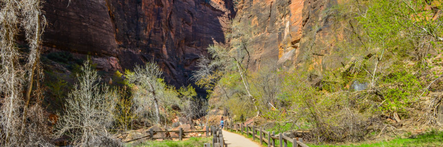 Zion Riverside Walk